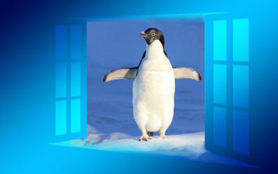 Neues bei Linux und Windows 10